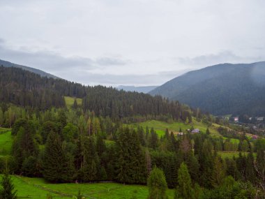 Yaz dağ manzaraları. Yeşil çayırlar. Yüksek tepeler.