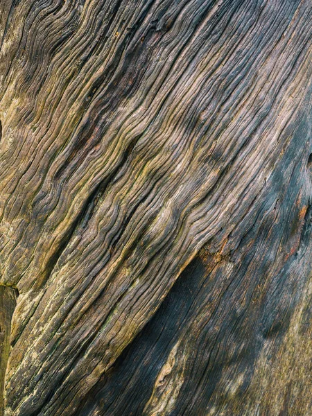 Textura de uma parede de madeira velha. Contexto — Fotografia de Stock