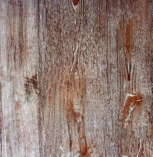 The texture of the wood. Paul. maple — Stock Photo, Image