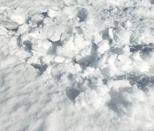 雪の質感の背景を閉じます — ストック写真