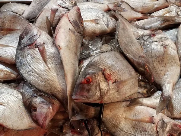 Closeup Fish Market — Stock Photo, Image