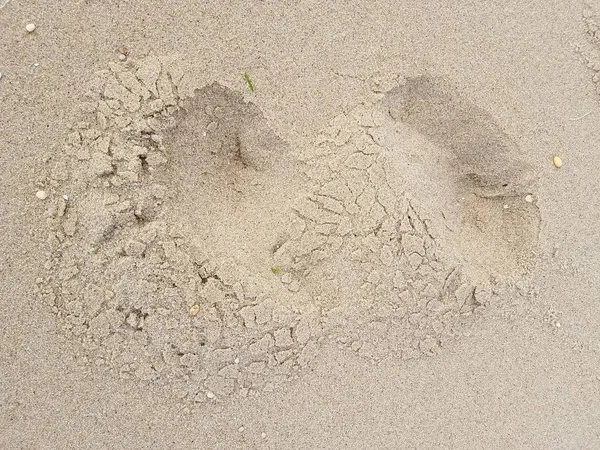 Εσωτερικη Άμμο Υφή — Φωτογραφία Αρχείου