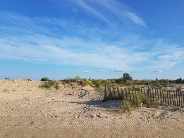 Strand Homokos Dűnék Egy Elérési Utat Tenger — Stock Fotó