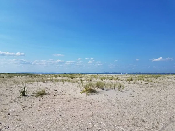 Strand Mit Sanddünen Und Einem Pfad Zum Meer — Stockfoto