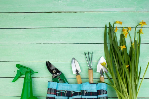 nergis çiçek ve Bahçe aletleri yeşil ahşap zemin üzerine