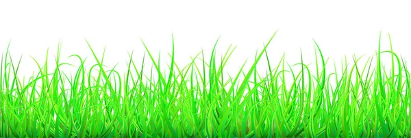 Пейзаж Зеленой Травы Голубое Небо — стоковое фото