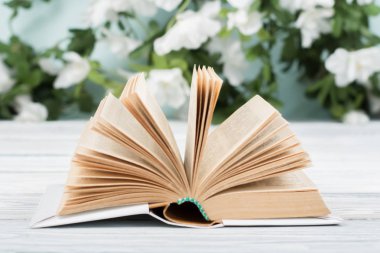 Ahşap masa üzerinde açık ciltli kitap. Doğal arka plan. Okula dönüş. Metin için yer kopyalayın