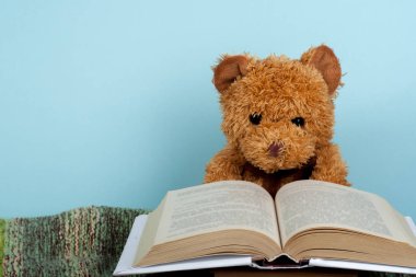 Okula dönüş. Örgü Battaniye. Oyuncak ayı açık ciltli kitap okuyorum. Metin için yer kopyalayın