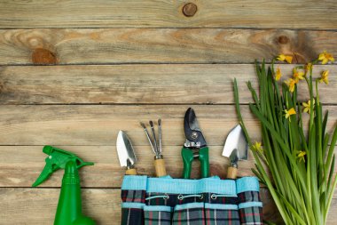 Ahşap zemin üzerinde çiçekler ve bahçe araçları ile kompozisyon metin için yer ile.