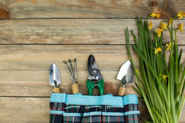 Ahşap zemin üzerinde çiçekler ve bahçe araçları ile kompozisyon metin için yer ile.