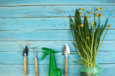 Ahşap zemin üzerinde çiçekler ve bahçe araçları ile kompozisyon metin için yer ile.