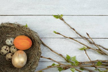 Paskalya yumurtaları, yuva ve şube yapraklarda ahşap masa arka plan ile. Üstten görünüm. Metin için yer kopyalayın