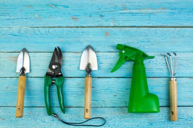 Ahşap zemin üzerinde çiçekler ve bahçe araçları ile kompozisyon metin için yer ile.