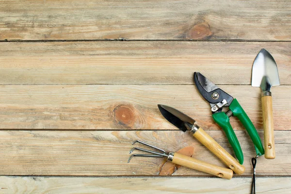 Composición Con Flores Herramientas Jardinería Sobre Fondo Madera Con Espacio — Foto de Stock