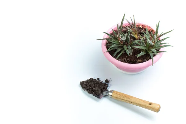 Gardening Tools Top View White Background Copy Space Products Border — Stock Photo, Image