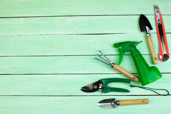 Composición Con Flores Herramientas Jardinería Sobre Fondo Madera Con Espacio — Foto de Stock