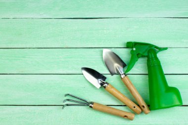 Ahşap zemin üzerinde çiçekler ve bahçe araçları ile kompozisyon metin için yer ile.