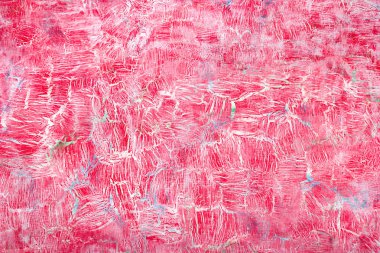 Küçük çatlak, ahşap arka plan doku. Üstten Görünüm