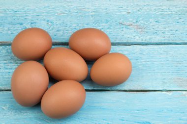 Yumurta üzerinde izole beyaz arka plan tavuk. Metin için yer kopyalayın