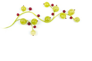 Taze yaz bektaşi üzümü, üzümlü üzümlü üzümlü, yaban mersinli.