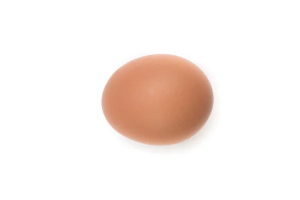 Telur Ayam Cokelat Tunggal Diisolasi Pada Putih — Stok Foto