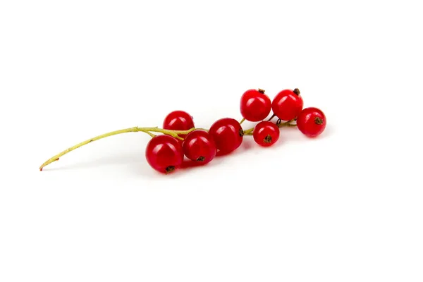 Olika Färska Sommarbär Vit Bakgrund Antioxidanter Detox Diet Ekologiska Frukter — Stockfoto