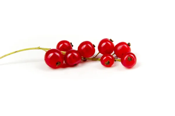 Varias Bayas Frescas Verano Fondo Blanco Antioxidantes Dieta Desintoxicación Frutas — Foto de Stock