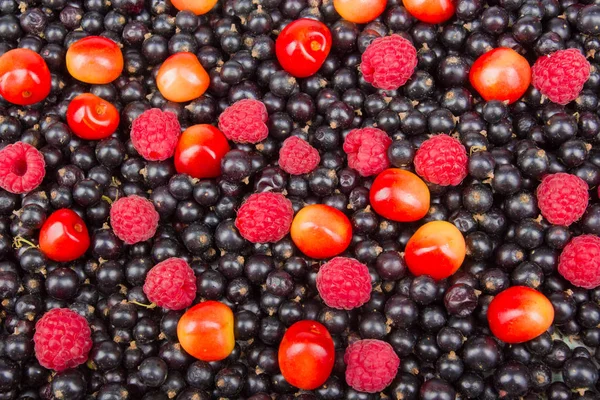 Várias Bagas Frescas Verão Boliche Antioxidantes Dieta Desintoxicação Frutas Orgânicas — Fotografia de Stock