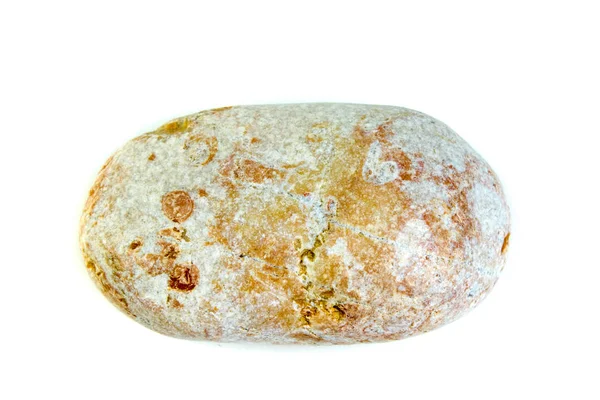 Červené Mokré Moře Kamene Izolované Bílém Pozadí Pohled Shora Kopií — Stock fotografie