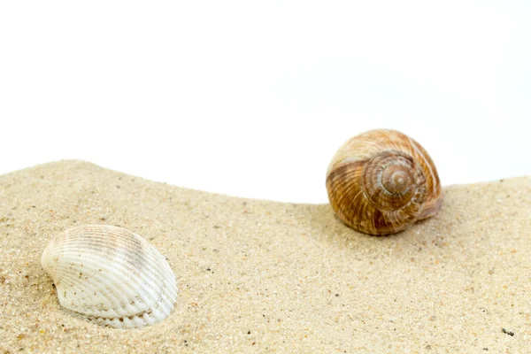 Sea Sand Remnants Shells Pebbleson White Background Concept Rest Top — Stock Photo, Image