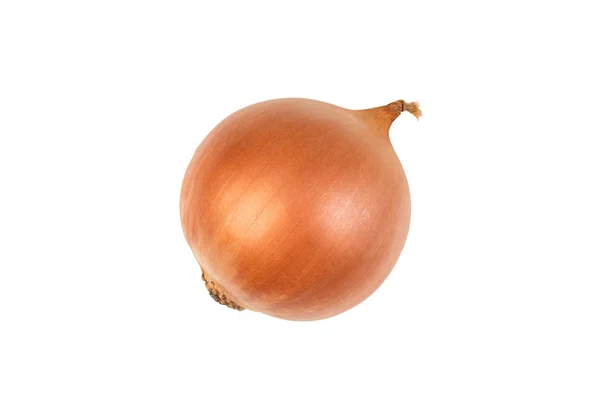 Ripe Onion White Background Top View — Stock Photo, Image