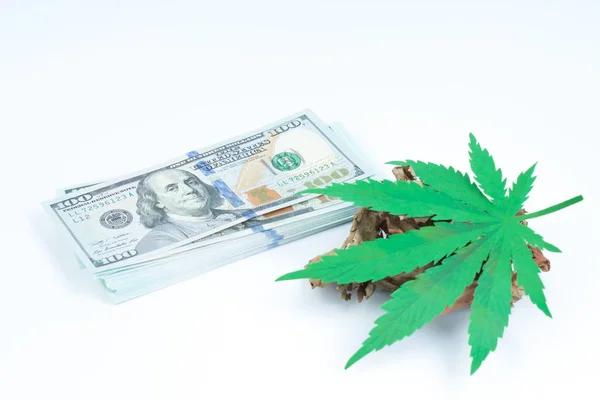 Legality Cannabis Legal Illegal Cannabis World Law Concept — Stock Photo, Image