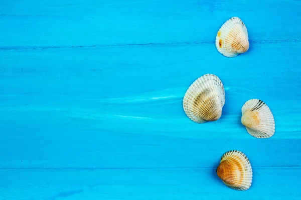 Zand, schelpen, stenen op blauwe achtergrond. Concept van de rest. Bovenaanzicht. — Stockfoto