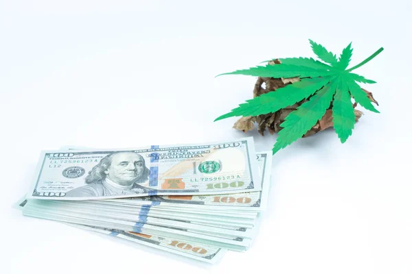 Legalität von Cannabis, legalem und illegalem Cannabis auf der Welt. Gesetzeskonzept. — Stockfoto