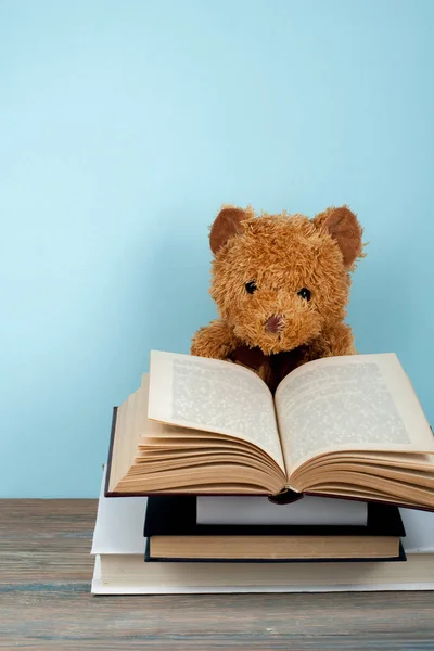 Back to school. Knitted blanket. Teddy bear reading a Open hardback book. Copy space for text. — Stock Photo, Image