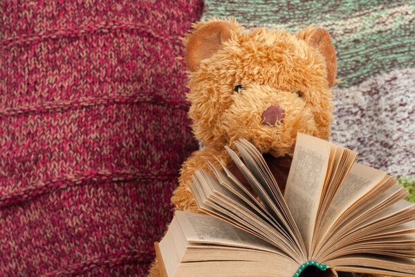 Back to school. Knitted blanket. Teddy bear reading a Open hardback book. Copy space for text.