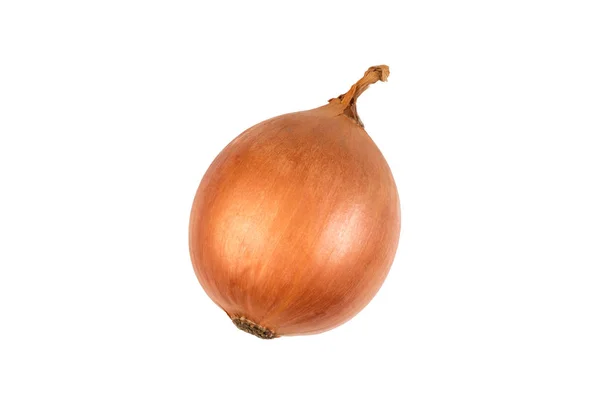 Ripe onion on a white background. Top view. — Stock Photo, Image