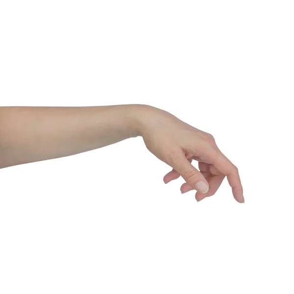 Vackra kvinnans hand isolerad på vit bakgrund — Stockfoto