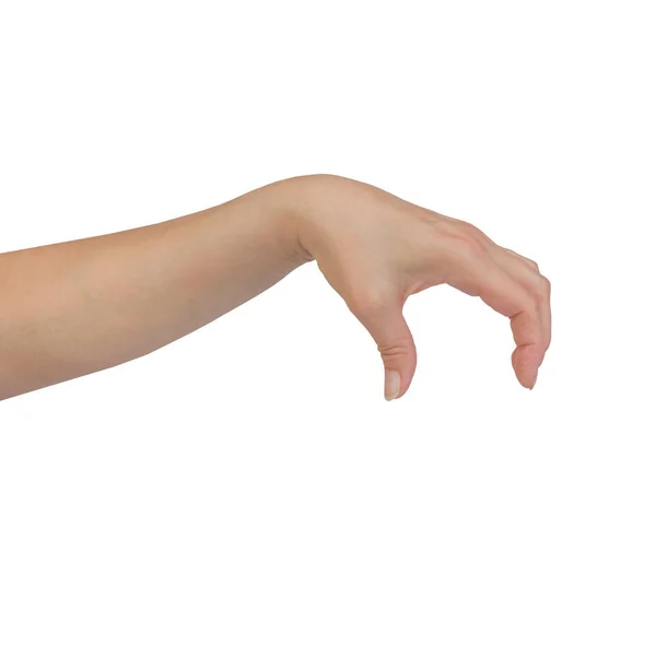 Femei frumoase mână izolat pe fundal alb — Fotografie, imagine de stoc