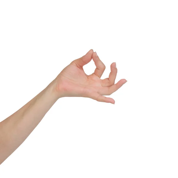 Vacker kvinna hand hållande objekt isolerade på vit bakgrund. Hamsasyo Hasta hand gest, även kallad mudra, vilket betyder Swan näbb — Stockfoto