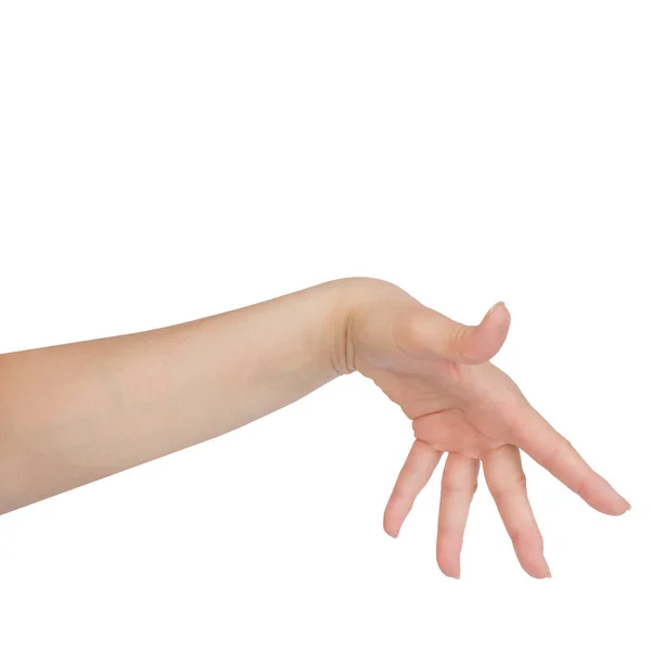 Muestra de mano mujer con dedo cinco aislado sobre fondo blanco. — Foto de Stock