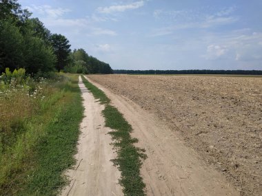 Orman ve tarım alanları boyunca toprak yol. Kırsal peyzaj.
