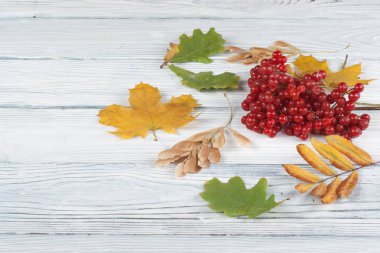 Renkli sonbahar yaprakları, ahşap arka plan üzerinde çilek, Metin için alan kopyalayın. Üstte görüntü.