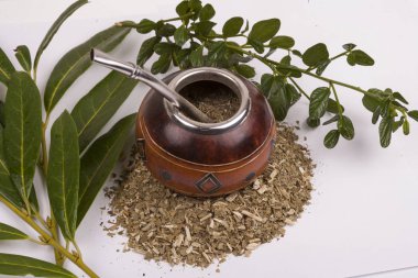 Yerba dostum Kupası ve saman, geleneksel Arjantin bardak.