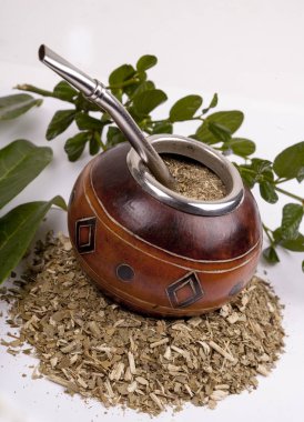 Yerba dostum Kupası ve saman, geleneksel Arjantin bardak.