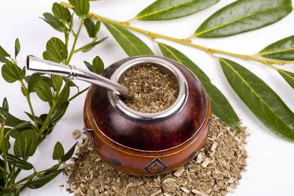 Yerba dostum Kupası ve saman, geleneksel Arjantin bardak.