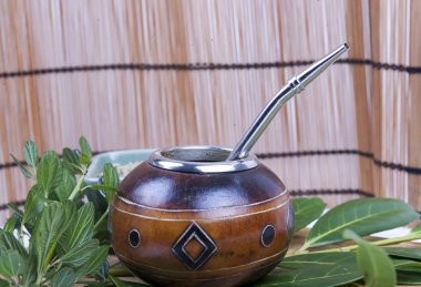 Yerba dostum Kupası ve saman, geleneksel Arjantin bardak.