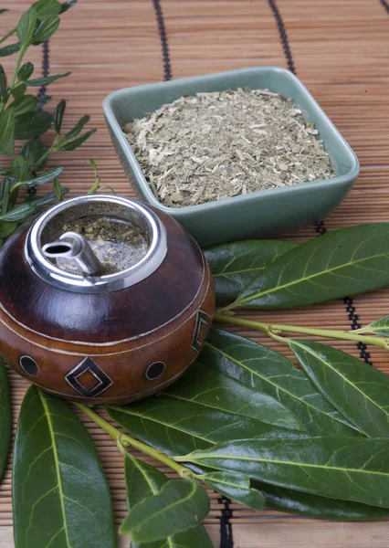 Yerba Mate Kupa Szalma Hagyományos Italt Argentína — Stock Fotó