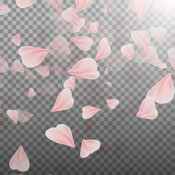 Rosa Sakura fallende Blütenblätter — Stockvektor