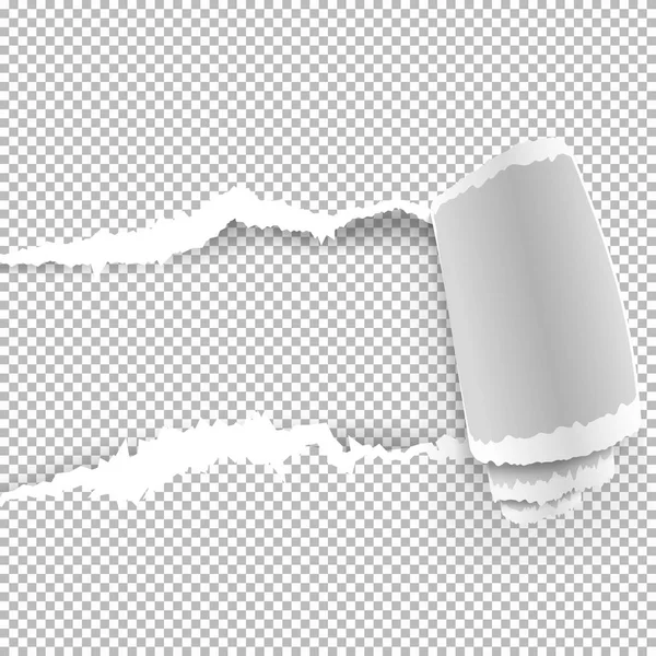 Zerrissenes Papier mit zerrissenen Kanten — Stockvektor
